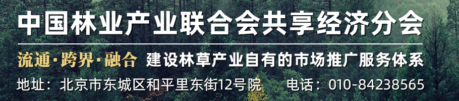 共享經(jīng)濟(jì)