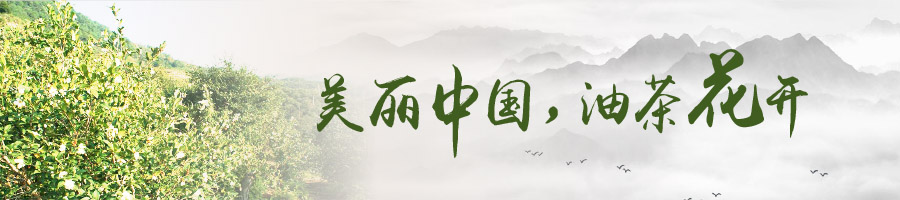 油茶產業
