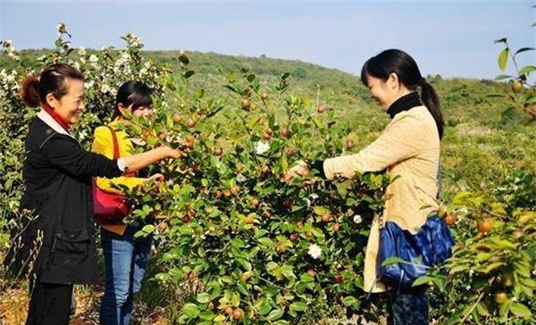 cc11728b4710b9121f0129293f26f70690452202_看圖王(1).jpeg