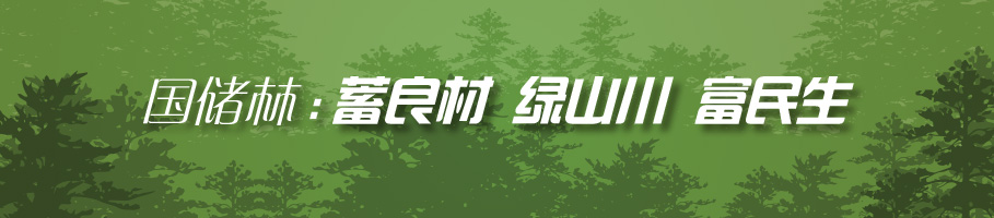 國儲林