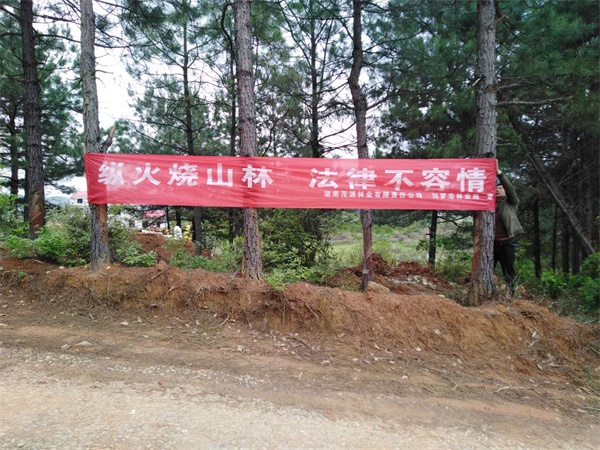 0415  岳陽林紙林業基地的防火宣傳.jpg