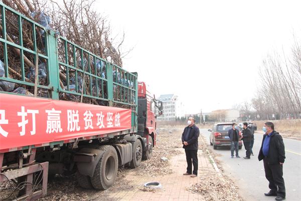 支援苗木捆扎完畢裝車準備運往古浪縣.jpg