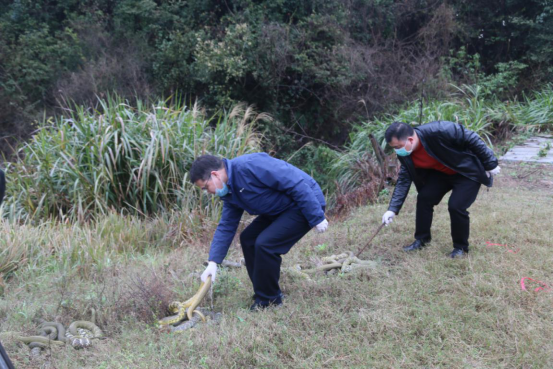 4.30（衡陽市林業(yè)局）勠力同心戰(zhàn)疫情 衡陽林業(yè)在行動(dòng)1033.png