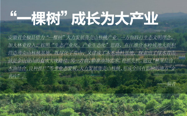 朱前加圖.png
