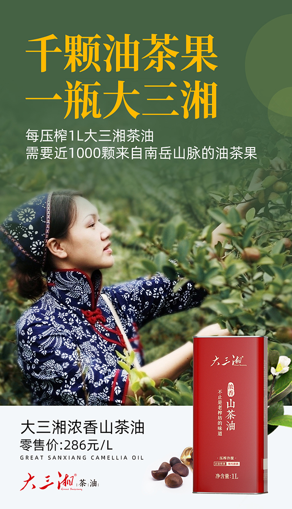 插圖-4.jpg