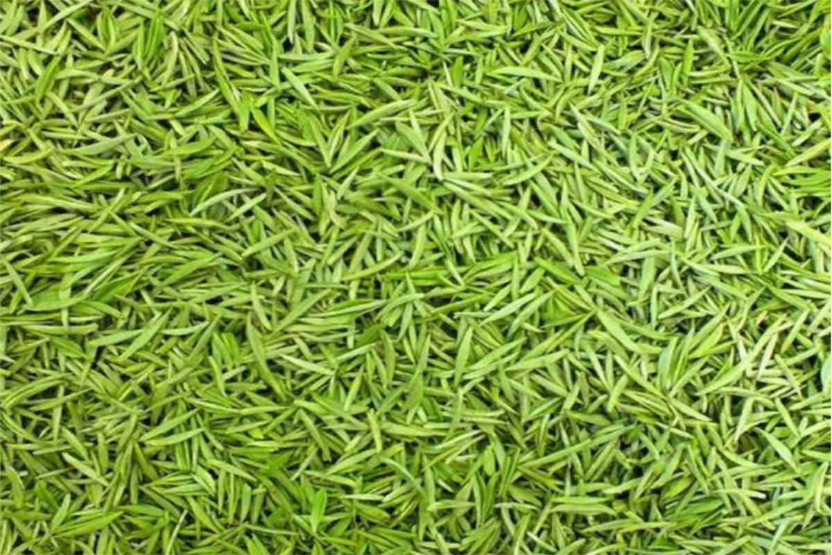 de811f50c80f2f5f1a9a5763a59c885_看圖王_看圖王.jpg