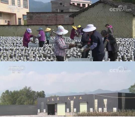 QQ截圖20221129080835.jpg