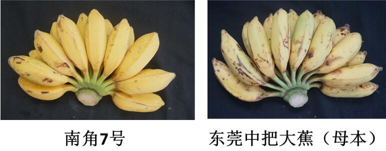 QQ截圖20230314093354.jpg