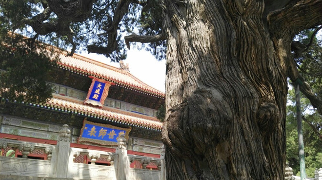 微信圖片_20230427172436.png