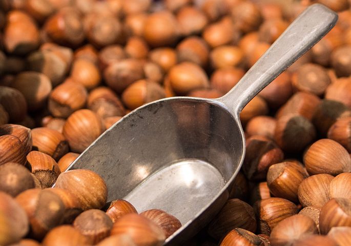 hazelnuts-264824__480.jpg