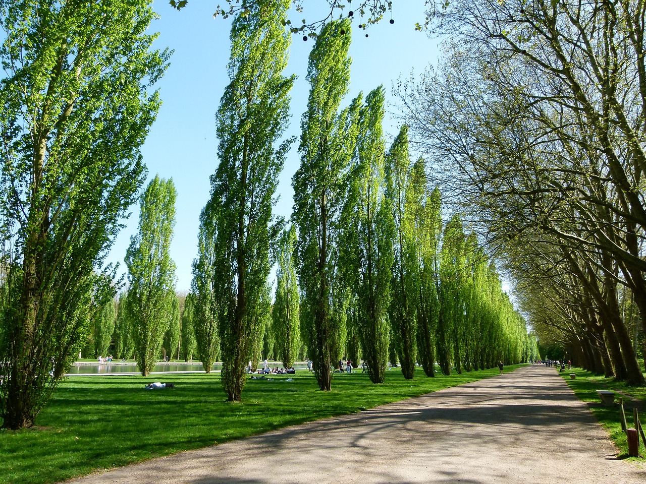 sceaux-90942_1280.jpg