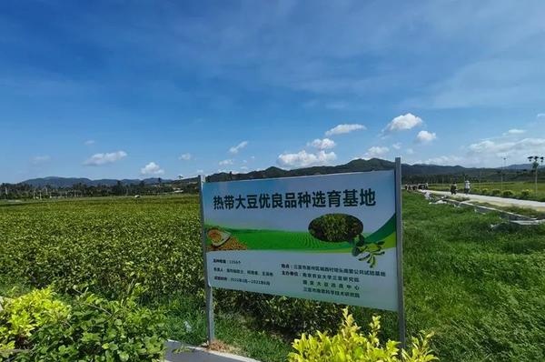 9d4c44c2-4bc1-49ad-b047-f341a0989d26_看圖王.jpg