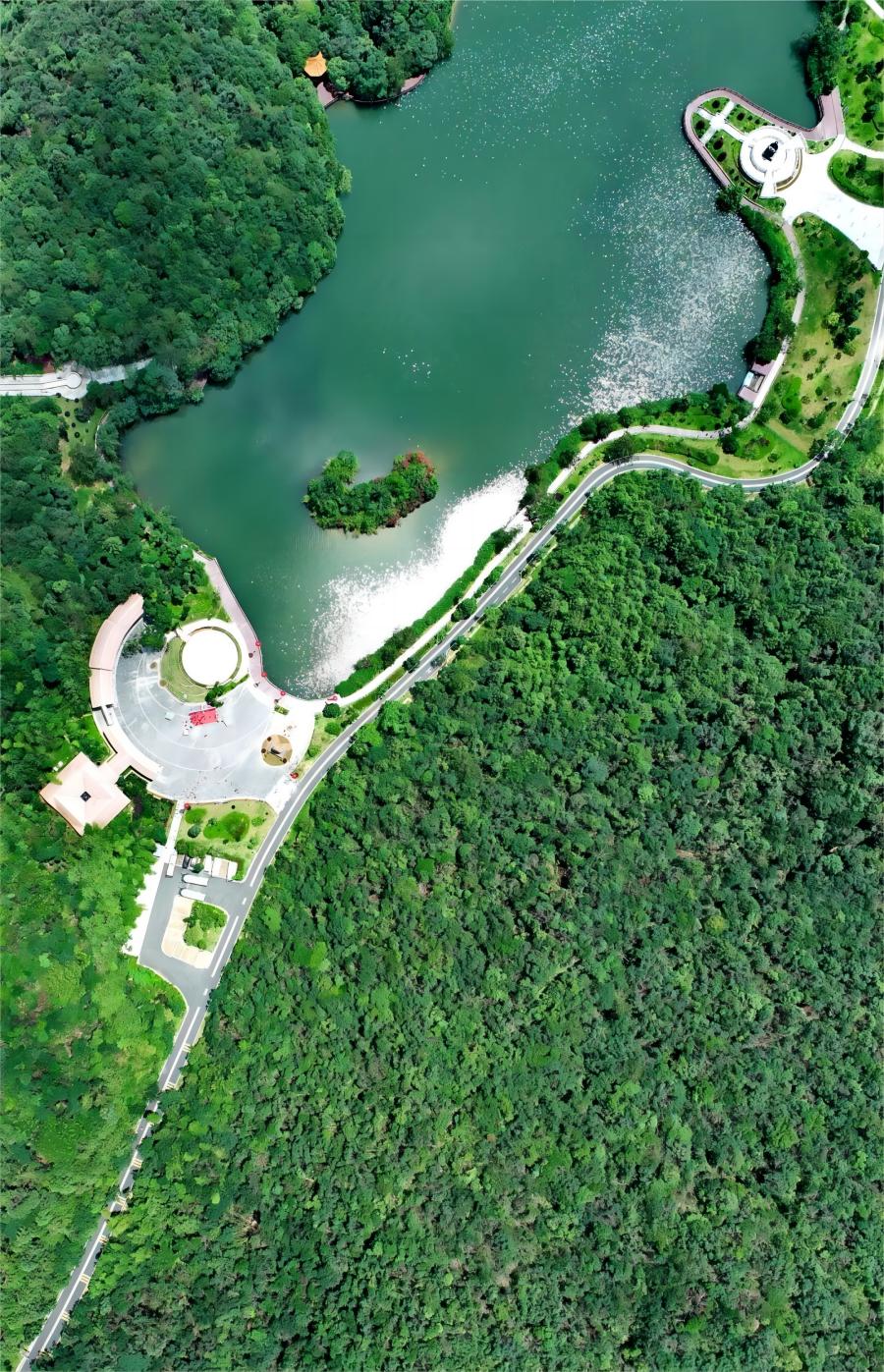 三百山森林康養基地.jpg