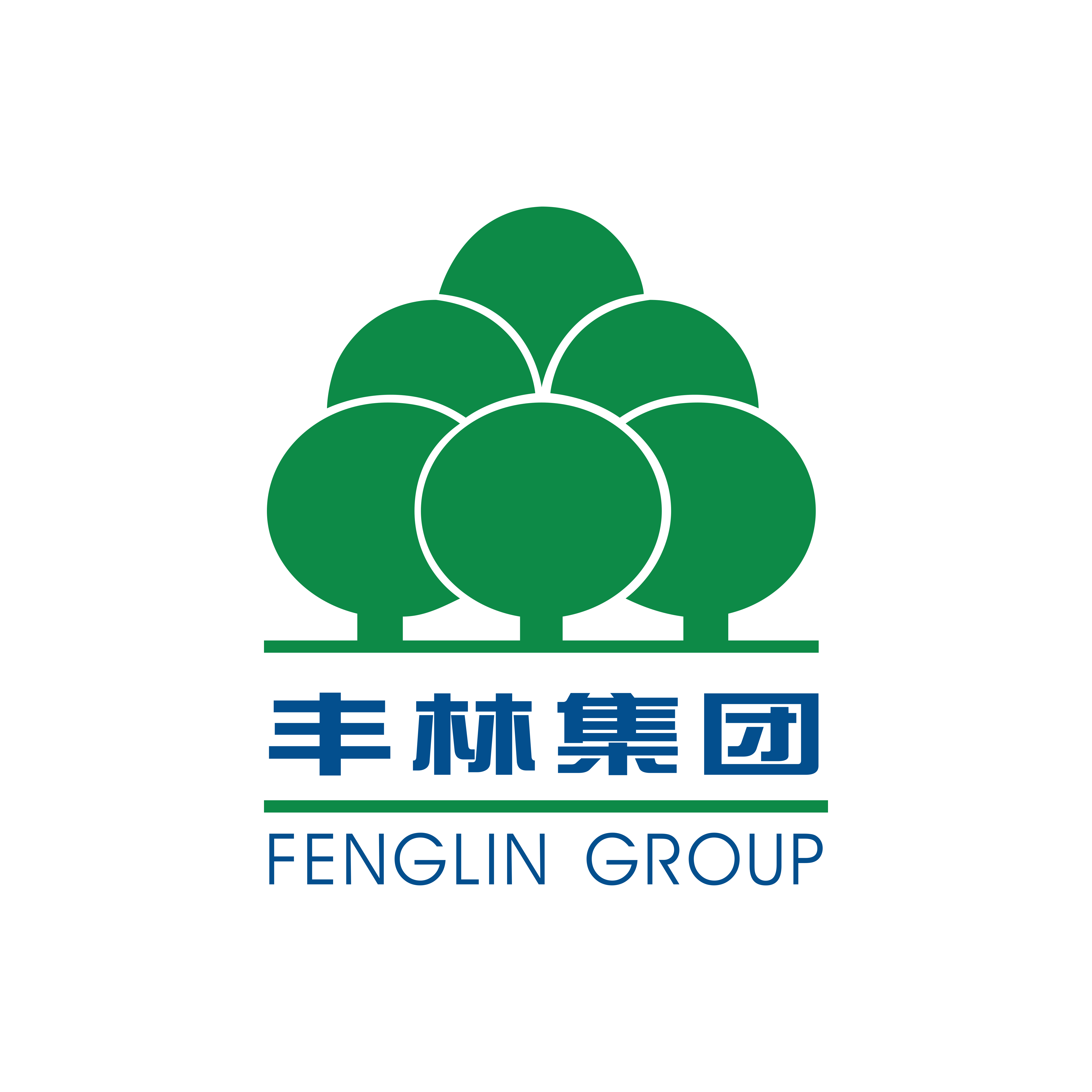 廣西豐林木業(yè)集團(tuán)股份有限公司