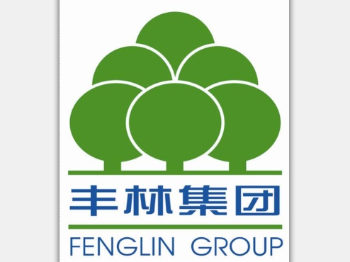 豐林集團