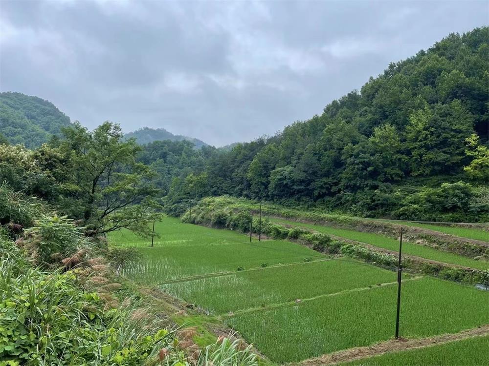 微信圖片_20240617172057.jpg