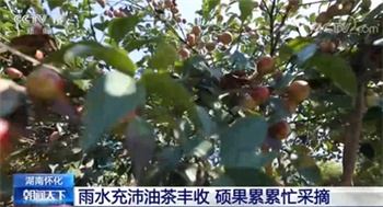 94d682c285bd8db056ae5e32ceb65fe.jpg